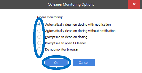 CCleaner browser action